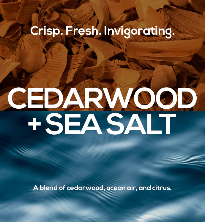 Aluminum-Free Deodorant Stick  — Cedarwood + Sea Salt Scent - Image 4
