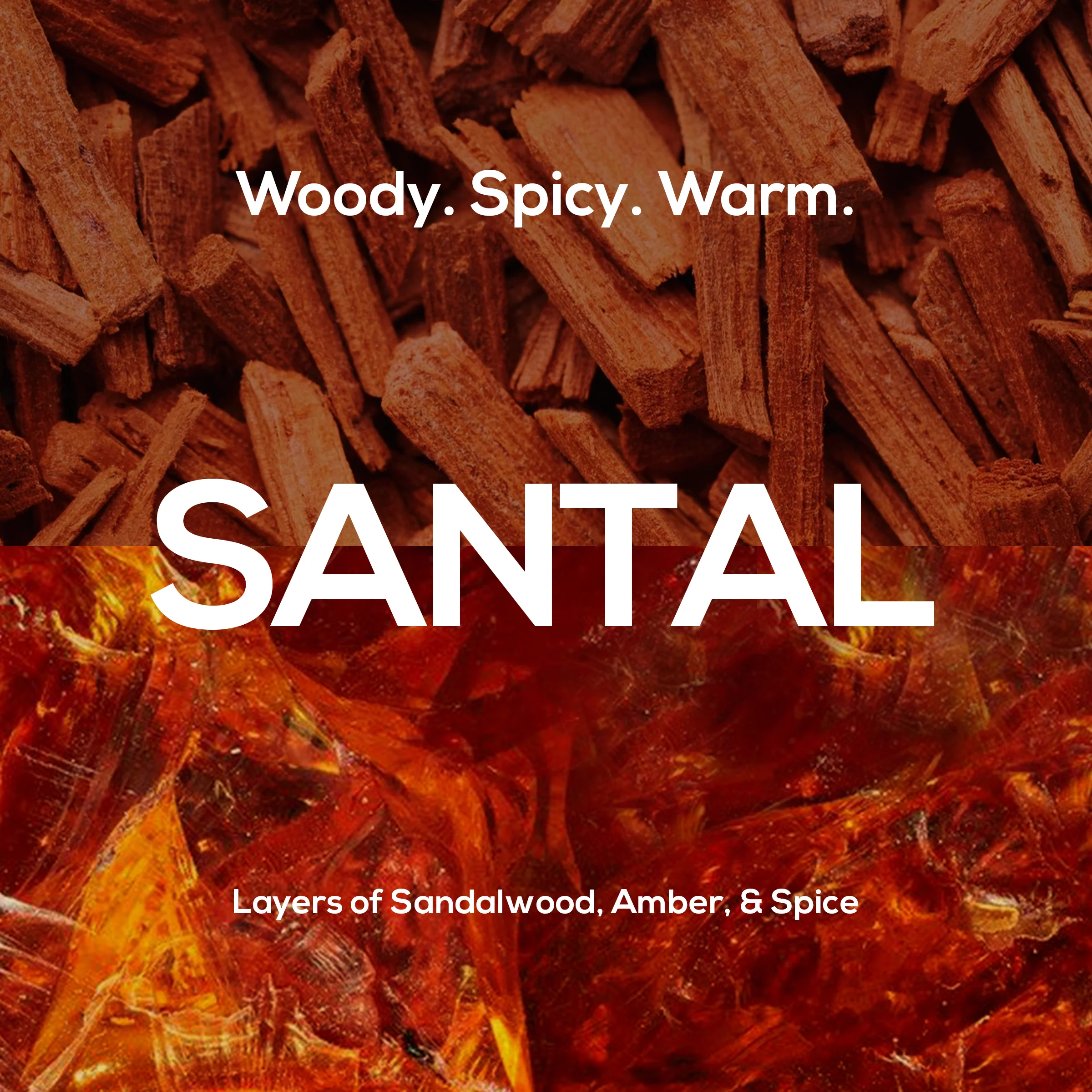 Santal Body Care Set — Scrub Soap, Deodorant, Lotion - Image 3